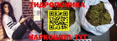 Альфа ПВП Тара