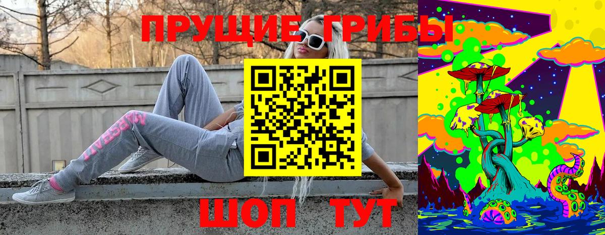 Псилоцибиновые грибы ЛСД Новороссийск