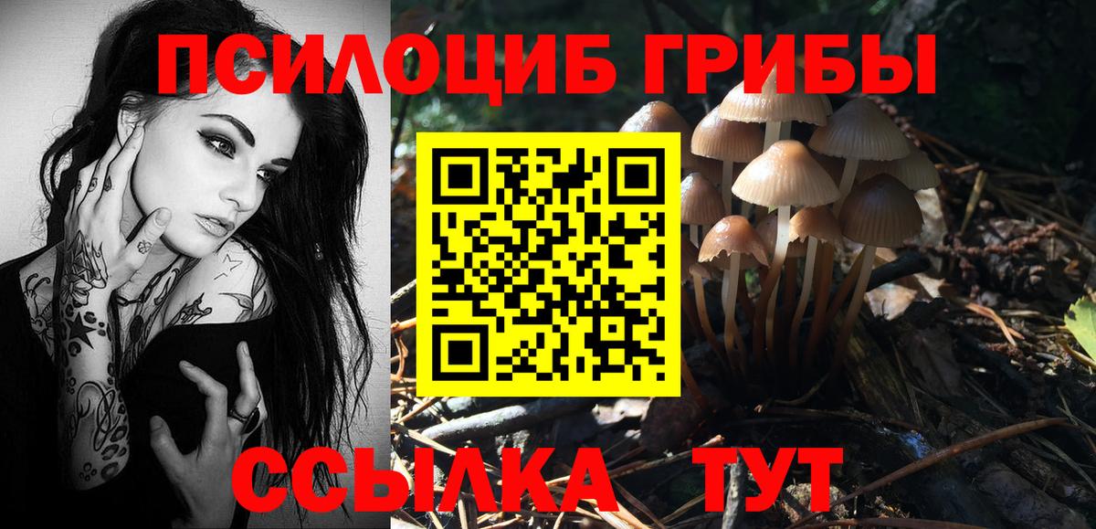 Амфетамин Новороссийск