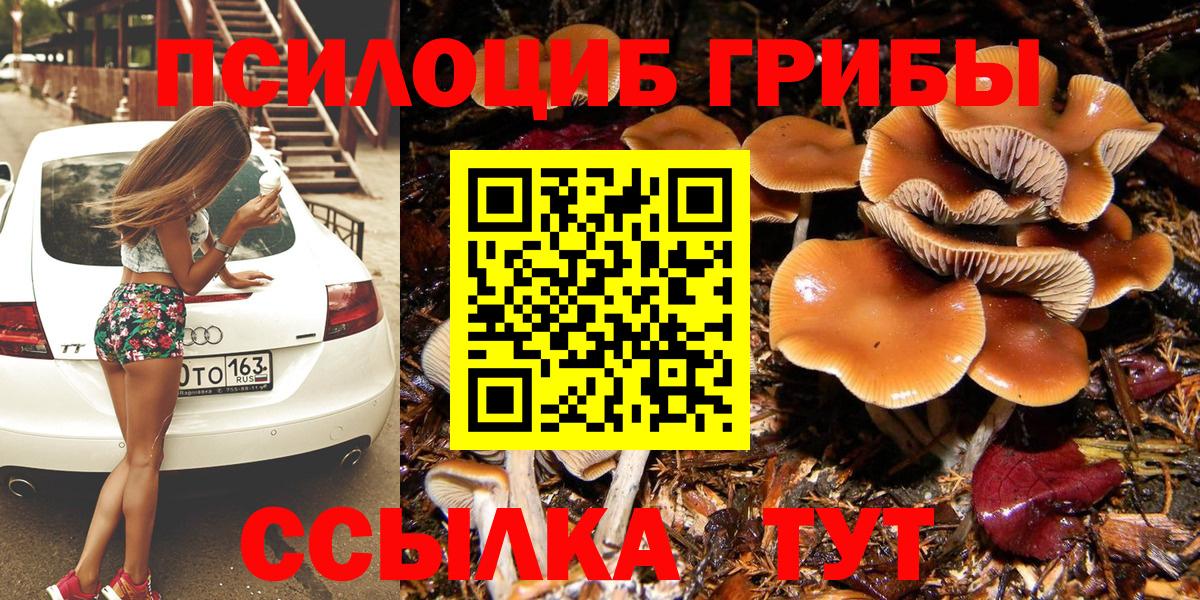 Новороссийск  Псилоцибиновые грибы Psilocybine cubensis  Вход с VPN  Псилоцибиновые грибы мухоморы 